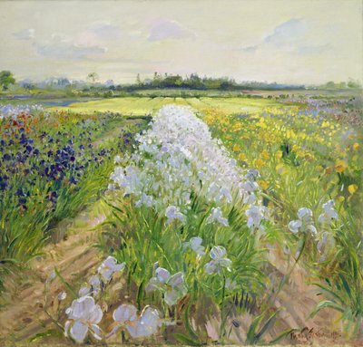 Down the Line, 1995 by Timothy Easton